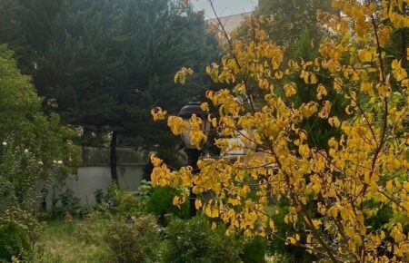 خانه سالمندان یارین-پاییز۱۴۰۳