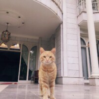 آسایشگاه سالمندان یارین
