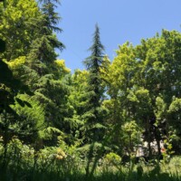 خانه سالمندان