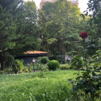 اسایشگاه سالمندان