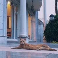 آسایشگاه سالمندان