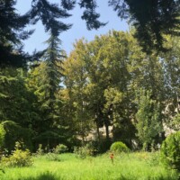 اسایشگاه سالمندان